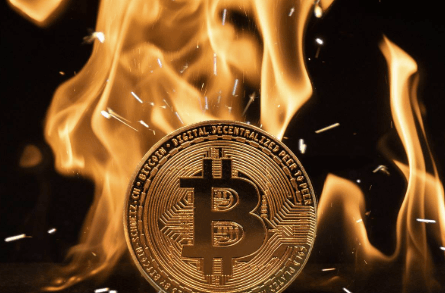 Understanding Cryptocurrency Token Burns